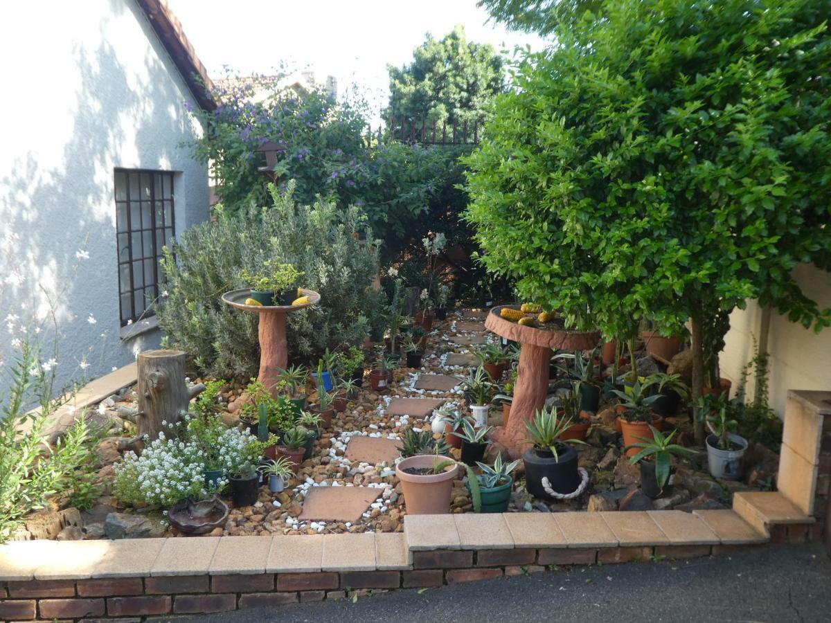 Garden Cluster In *